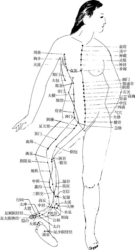 添陰|舐阴